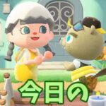 【あつ森】小さくてかわいい魚を釣りに行きます！！ #shorts #あつ森 #あつまれどうぶつの森