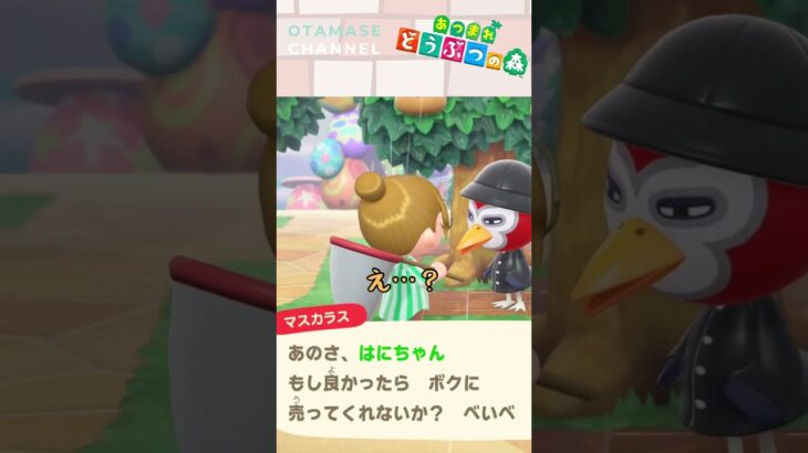 【あつ森小ネタ】さっきくれたよね…？　#shorts #あつ森 #あつまれどうぶつの森