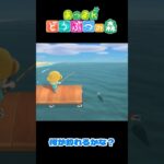 【あつ森】大物を釣りました！  #shorts #あつ森 #あつまれどうぶつの森