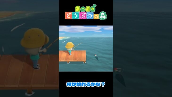 【あつ森】大物を釣りました！  #shorts #あつ森 #あつまれどうぶつの森