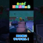 【あつ森】サソリを捕まえた！  #shorts #あつ森 #あつまれどうぶつの森