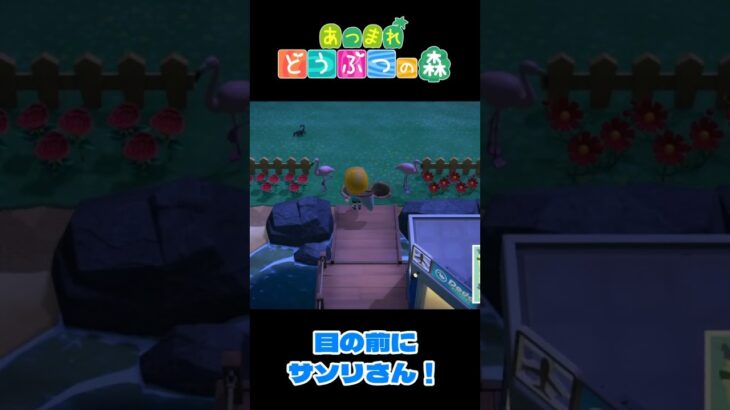 【あつ森】サソリを捕まえた！  #shorts #あつ森 #あつまれどうぶつの森