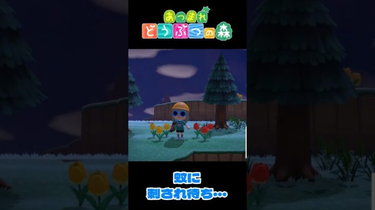 【あつ森】蚊に刺されたい！  #shorts #あつ森 #あつまれどうぶつの森