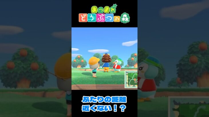 【あつ森】釣り大会：デート疑惑！  #shorts #あつ森 #あつまれどうぶつの森