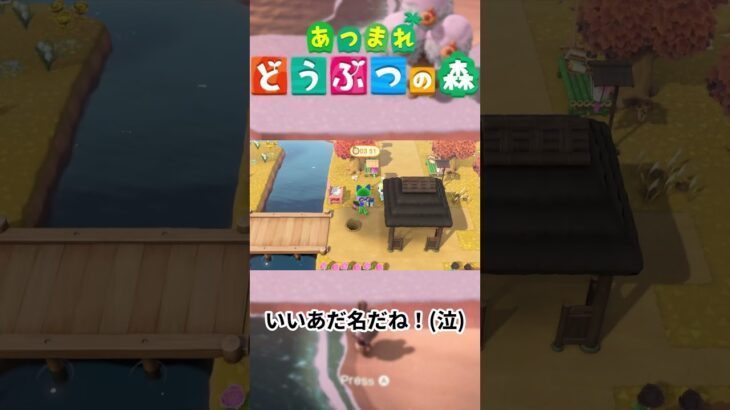 【あつ森┆小ネタ】住民に呼ばれてるニックネームが酷すぎる件…… #shorts #あつ森 #あつまれどうぶつの森