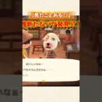 【あつ森】新しいバグ発見！？こんなの見たことある？【あつまれどうぶつの森】#shorts #あつ森