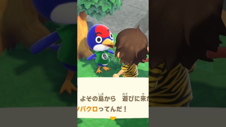 【あつ森】ツバクロに出会った！　#shorts #あつ森