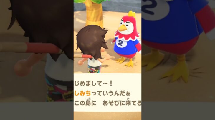 【あつ森】ぺしみちに出会った！　#shorts #あつ森