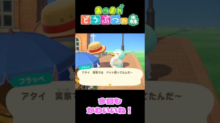 【あつ森】ペットの名前  #shorts #あつ森 #あつまれどうぶつの森