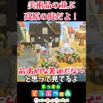 素敵な高原に並ぶ彫刻たち！【あつ森、ハピパラ】#shorts
