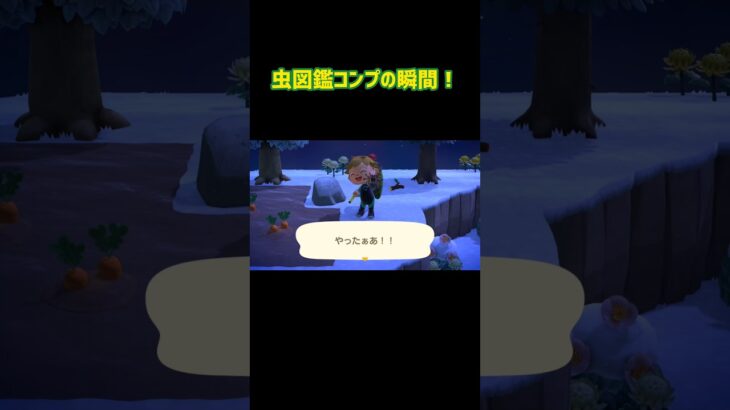 虫図鑑コンプの瞬間！【あつ森】#shorts