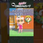 【意外な真相】まさか!?そこに招き入れたの？#あつ森  /#ウミガメのスープ  /#切り抜き/ #shorts