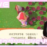 顔出し【#あつ森   #雑談   】ダイオウグソクムシ捕まえたい　#shorts