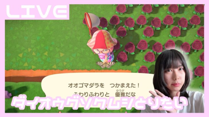 顔出し【#あつ森   #雑談   】ダイオウグソクムシ捕まえたい　#shorts