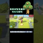 【あつ森】裏ワザ伝授！お金のなる木の作り方 #shorts【切り抜き】