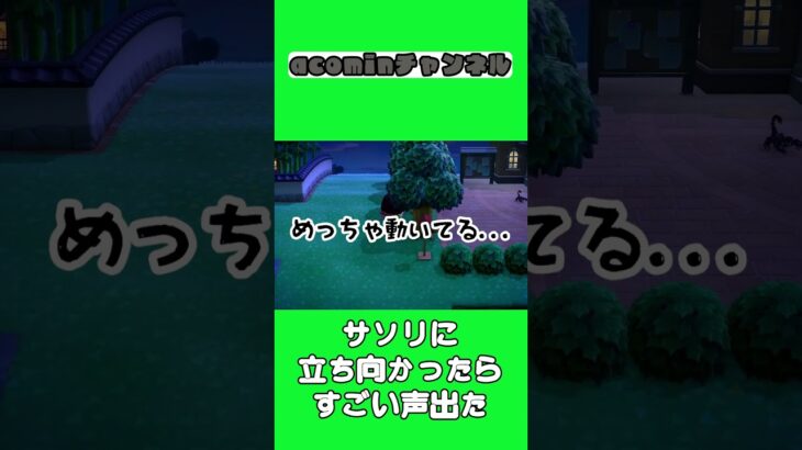 【あつ森】サソリに立ち向かったらすごい声出た |shorts