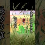 【あつ森】チャリ族に厳しい世界 #ゲーム実況#ゲーム #あつ森 #あつまれどうぶつの森 #shorts
