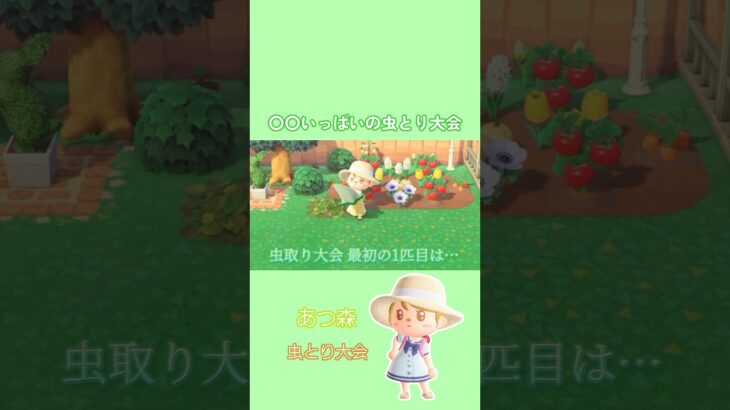 【あつ森】久しぶりに虫取り大会に参加してきました！#あつ森 #あつまれどうぶつの森 #切り抜き #ショート動画 #shorts