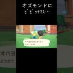 あつ森  オズモンドにﾋﾞﾋﾞｯﾃﾏｽ… #shorts  #あつまれどうぶつの森 #あつ森  #animalcrossing #ゲーム実況