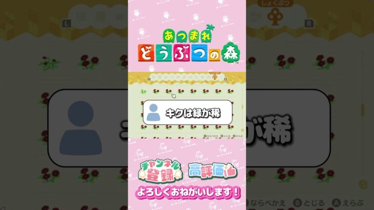 【あつ森】お花を咲かせましょう🌸　レア花　キク　ヒヤシンス　#shorts   #animalcrossing