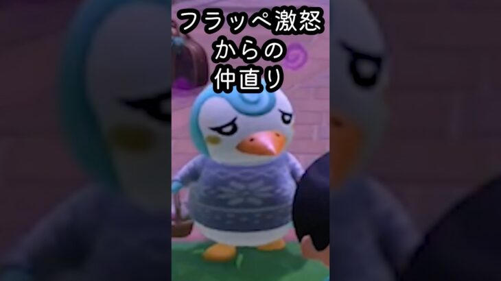 あつ森  フラッペ激怒からの仲直り #shorts  #あつまれどうぶつの森 #あつ森  #animalcrossing