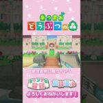 【あつ森】初体験！初土管！！　#shorts   #animalcrossing