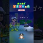 ちょっと工夫すると更に光る…💡 あつ森のヒカリゴケ  【あつまれ動物の森】 【癒し】 #shorts #あつ森 #relax