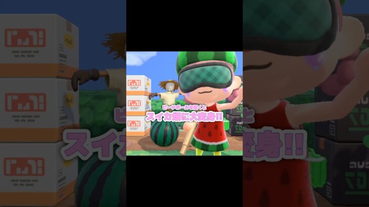 スイカ割りはじめちゃうよ～…？！？！#あつ森 #どうぶつの森 #あつまれどうぶつの森 #どう森 #shortvideo #short #shorts