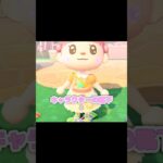 どういうことですか、エグ可愛なんですけど…？！？！#あつ森 #どうぶつの森 #あつまれどうぶつの森 #どう森 #shortvideo #shorts #short