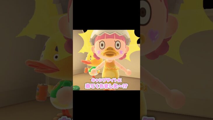 あとはチャームポイントの眉毛で完璧…？！？！#あつ森 #どうぶつの森 #あつまれどうぶつの森 #shortvideo #shorts #short