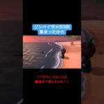 あつ森屈指の巨大魚の模型を依頼してみたよ #あつ森 #あつまれどうぶつの森 #switch #ドパガキ