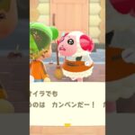 (あつ森)追い込まれた状況