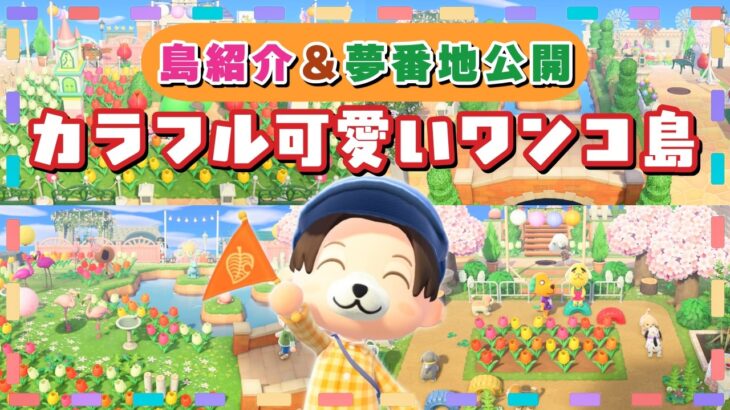【あつ森 島紹介】ワンコ達が暮らすカラフルで可愛い島が完成！夢番地公開します！【あつまれ どうぶつの森】