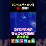 【あつ森】ジンベエザメが可愛すぎるｗｗｗ