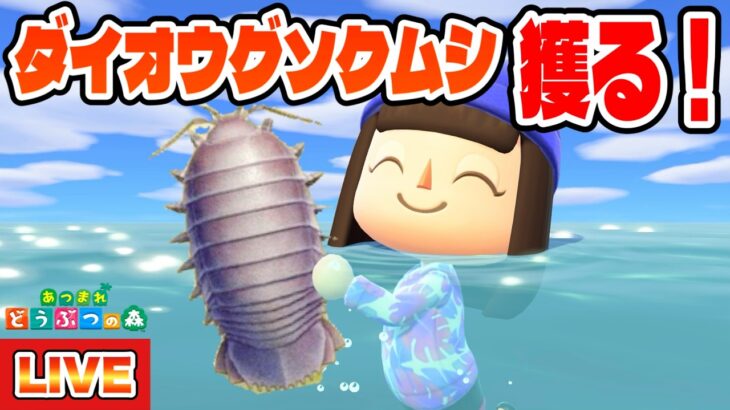 【あつ森】海の幸図鑑コンプへの道！～ダイオウグソクムシを獲りたい！！！～