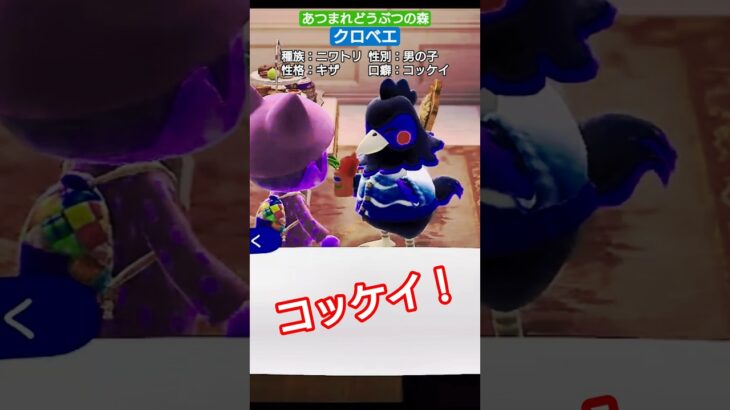 【#あつ森 】クロベエ【#あつまれどうぶつの森 】