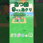 【あつ森９マス島クリ】簡単にオシャレな水飲み場が作れる島クリ！【あつまれどうぶつの森】#あつ森 #あつまれどうぶつの森