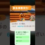 【あつ森のカブの値段を調べたら緊急事態発生！！】