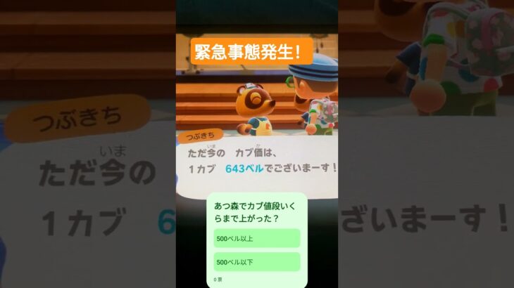 【あつ森のカブの値段を調べたら緊急事態発生！！】