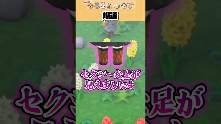【#あつ森 】やっとの思いで離島ガチャを始めたら爆速で終了した件#あつまれどうぶつの森 #どうぶつの森