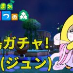 【あつ森】七夕にジュンくんと出会いたい！離島ガチャで願いは叶うのか？