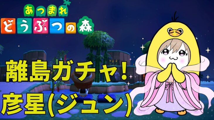 【あつ森】七夕にジュンくんと出会いたい！離島ガチャで願いは叶うのか？