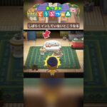 しばらくインしていないと…　#あつ森 #あつまれどうぶつの森