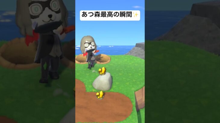 【あつ森】どうぶつの森最高の瞬間✨【あつまれどうぶつの森】 #あつまれどうぶつの森 #あつ森