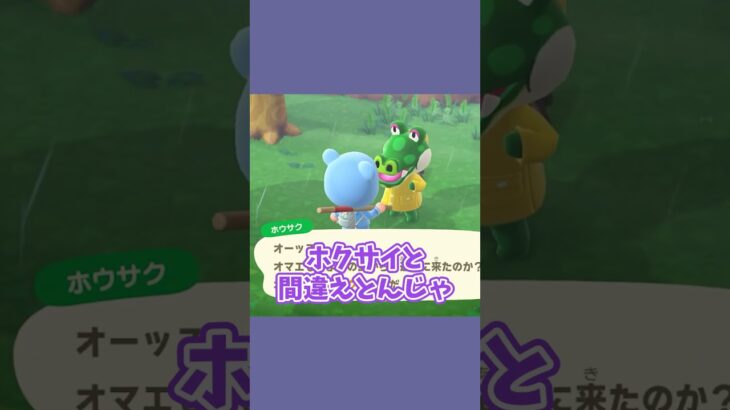 一生勘違いしそうです… #あつ森  #あつまれどうぶつの森  #女性ゲーム実況