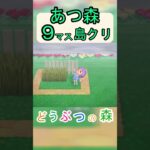 【あつ森９マス島クリ】簡単に草が生えたお庭を作る島クリ！【あつまれどうぶつの森】#あつ森 #あつまれどうぶつの森