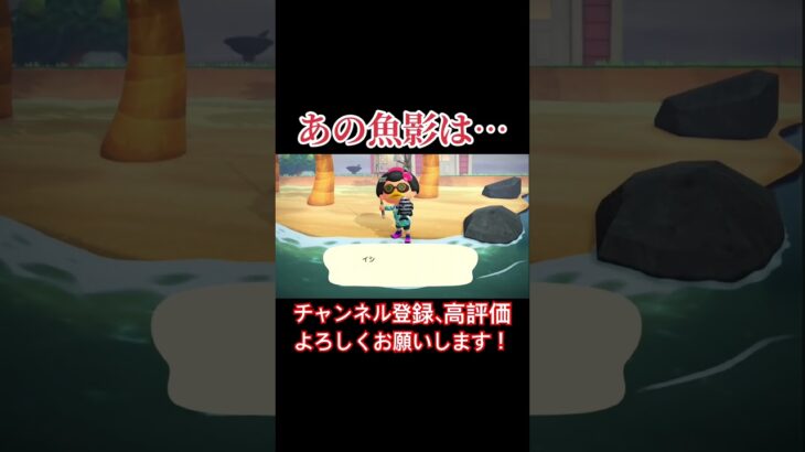 あの魚影はまさしく…#あつまれどうぶつの森 #あつ森 #どうぶつの森 #実況プレイ