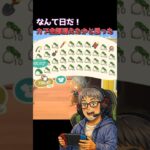 カブが全部消えたかと思った日のあつ森#あつ森