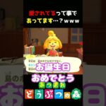 【あつ森】今日はお誕生日!!みんなからのお祝いの言葉に感動…え?!ｗｗｗ
