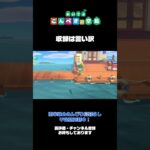打率５割  #あつまれどうぶつの森 #あつ森 #ゲーム実況